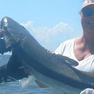 Meet your Posher, Carole